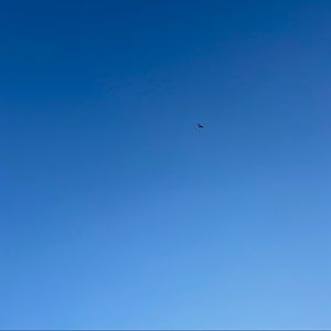 Meet your Posher, Adrien